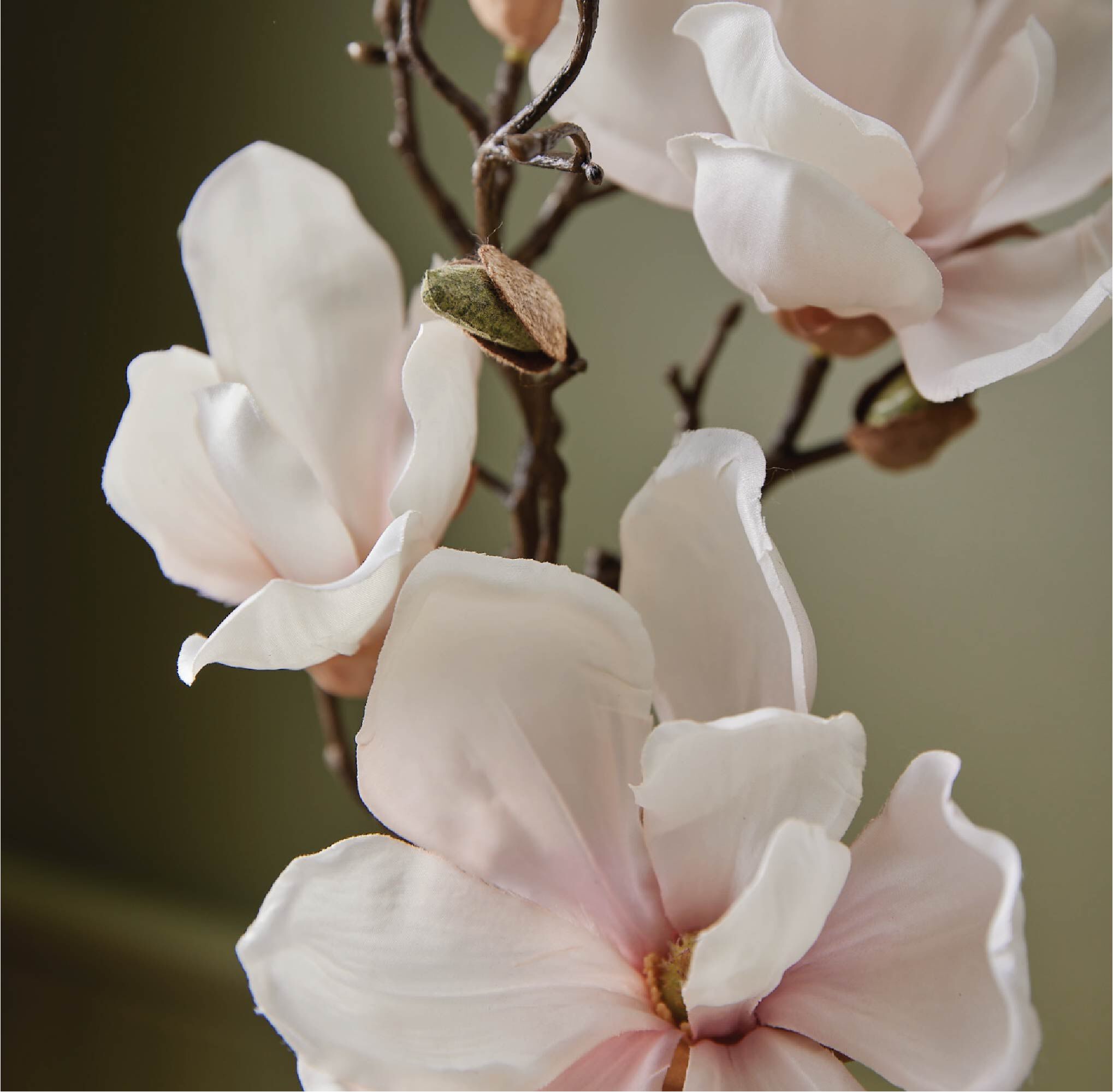 Magnolia Willow Poured Candle - Image 4